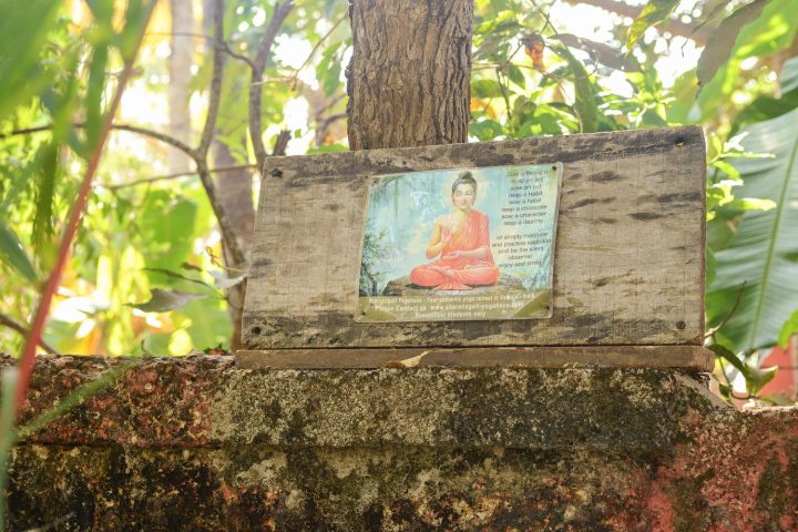 Picture of Buddha, in yoga garden