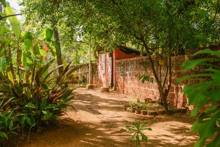 Peaceful part of our Yoga garden at yoga retreat