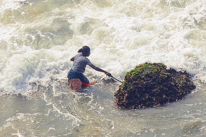 Fishing, at Varkala cliff